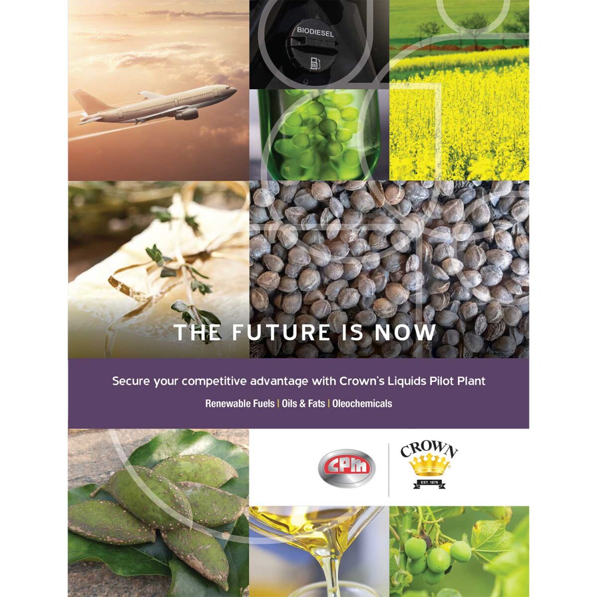 Biofuels/Liquids Pilot Plant Brochure